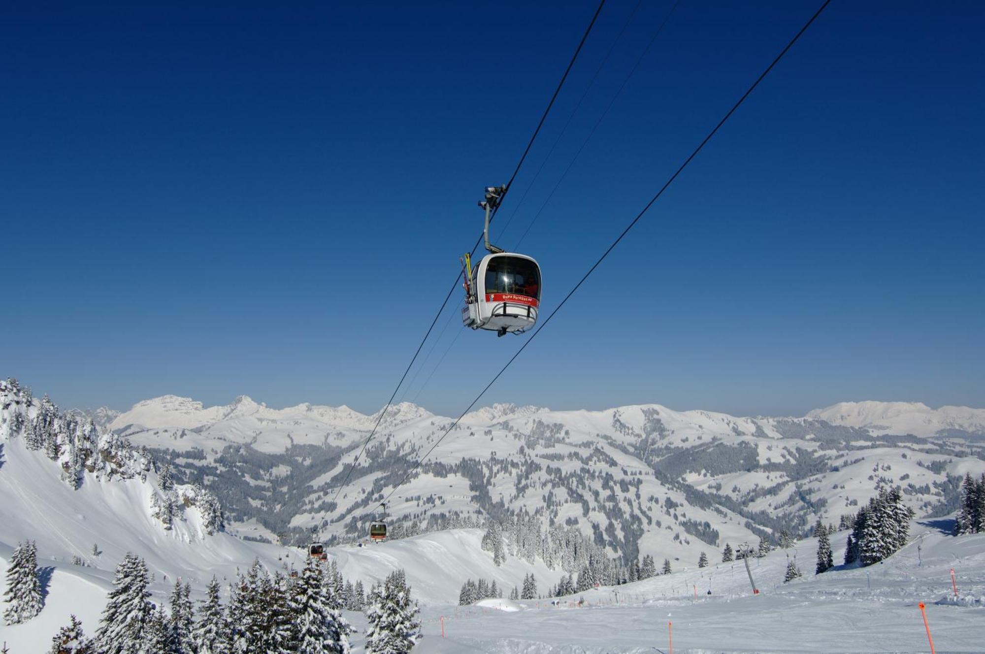 Hotel Alpenrose Mit Gourmet-restaurant Azalee Gstaad