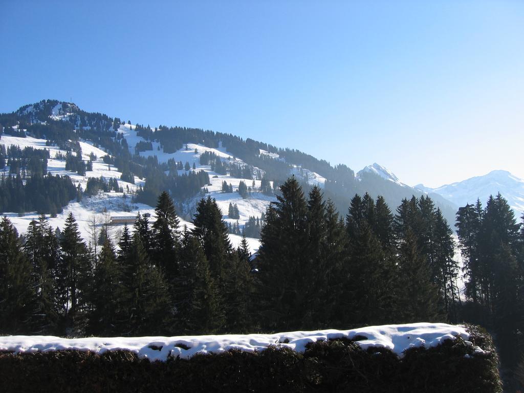 Alpenrose Mit Gourmet-restaurant Azalee